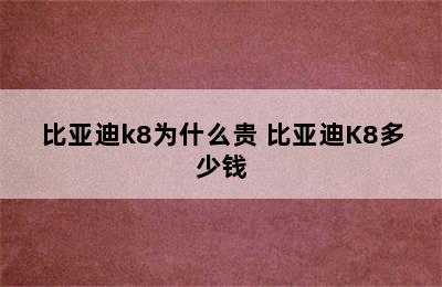 比亚迪k8为什么贵 比亚迪K8多少钱